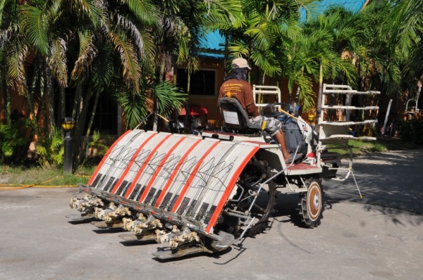 ขายรถดำนาMITSUBISHI MPR8แถว สภาพสวยเดิมจากญี่ปุ่นยังไม่เคยใช้ในไทย 65,000เท่านั้น!!