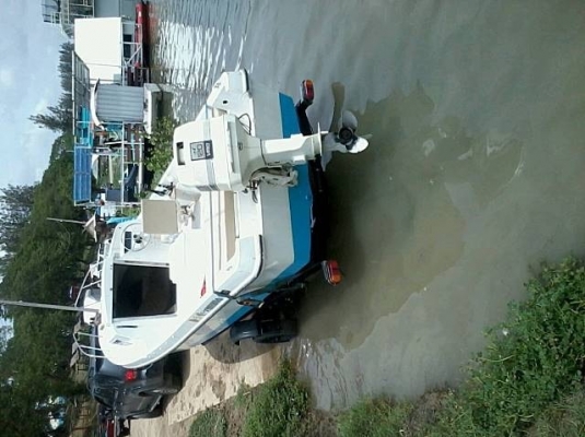 ขายเรือ