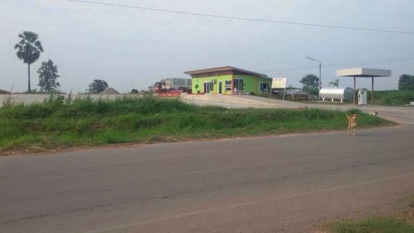 ขายที่ดินพร้อมสิ่งปลูกสร้าง เป็นลานมัน ที่ดิน 6 ไร่ ติดถนนใหญ่ มีโฉนด ขายที่ดินพร้อมสิ่งปลูกสร้าง เป็นลานมัน ที่ดิน 6 ไร่ ติดถนนใหญ่ มีโฉนด