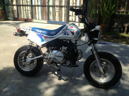 มังกี้ ทะเบียนโอน มังกี้ ทะเบียนโอน