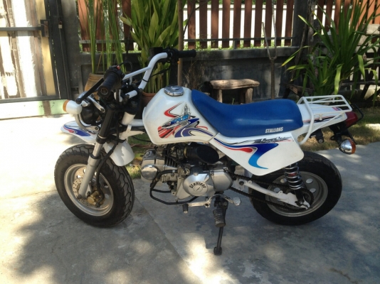 มังกี้ ทะเบียนโอน มังกี้ ทะเบียนโอน