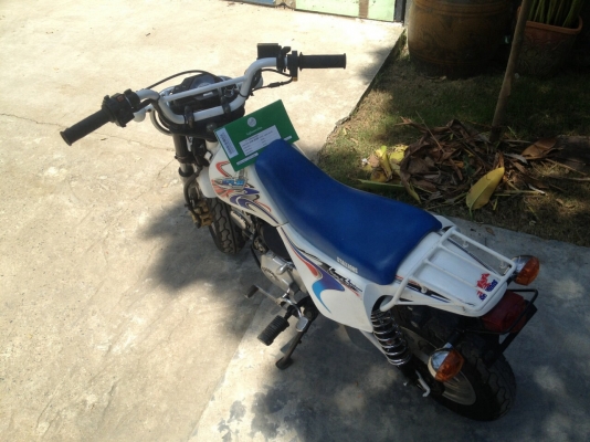 มังกี้ ทะเบียนโอน มังกี้ ทะเบียนโอน