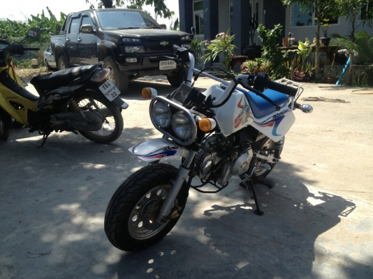 มังกี้ ทะเบียนโอน