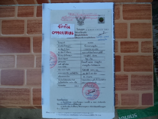 ขาย กล็อก 19 ปิดการขาย ขอบคุณเว็บและเพื่อนผองน้องพี่