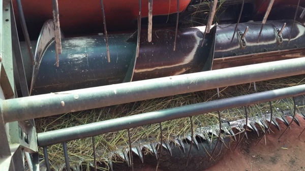 ขายรถเกี่ยวKUBOTA DC60พร้อม ยกคู่ รถลากเทรลเลอร์ สภาพพร้อมใช้งาน เครื่องดี ตู้สีดี พร้อมลุยงาน แทรคสวย