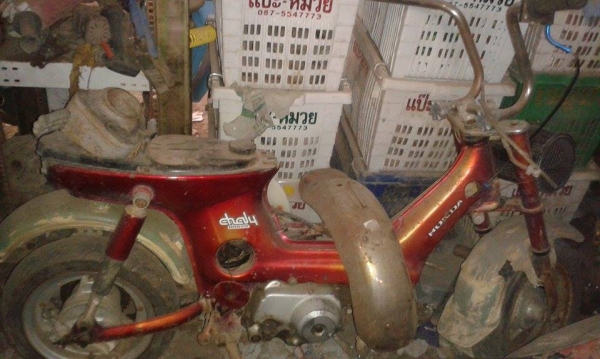 ขายฮอนด้า ชาลี เครื่องเดิม ล้อเดิม โครงไม่ผุ ราคาไม่แพงครับ