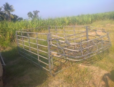 ขายคอกใส่รถนิสสัน  BIG  M สุง1.10สนใจ0810076640