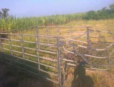 ขายคอกใส่รถนิสสัน  BIG  M สุง1.10สนใจ0810076640