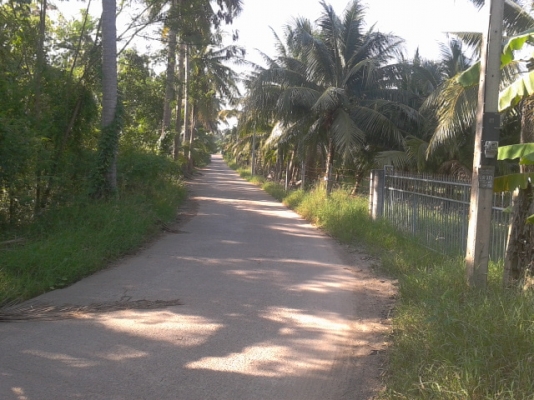 ที่ดินสมุทรสงคราม8ไร่ ติดถนน3ด้าน ติดคลอง1ด้านสวยๆ
