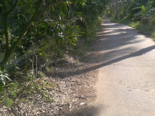 ที่ดินสมุทรสงคราม8ไร่ ติดถนน3ด้าน ติดคลอง1ด้านสวยๆ