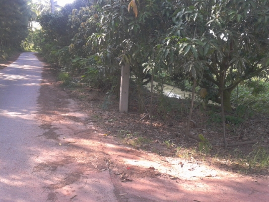 ที่ดินสมุทรสงคราม8ไร่ ติดถนน3ด้าน ติดคลอง1ด้านสวยๆ