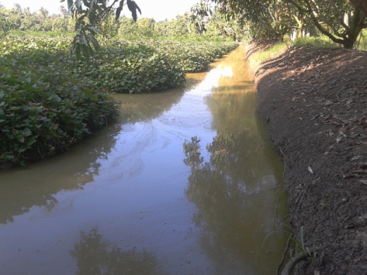 ที่ดินสมุทรสงคราม8ไร่ ติดถนน3ด้าน ติดคลอง1ด้านสวยๆ