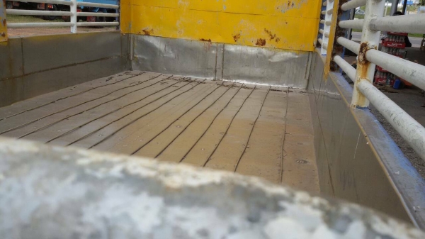 ขายกะบะเลส สภาพดี ยกลงจาก อีซูซุ NPR ยาว 4.30 เมตร