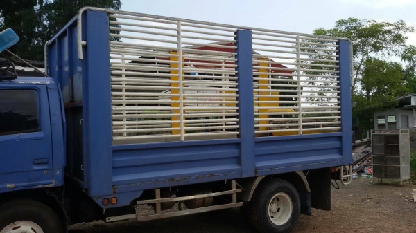 ขายกะบะเลส สภาพดี ยกลงจาก อีซูซุ NPR ยาว 4.30 เมตร