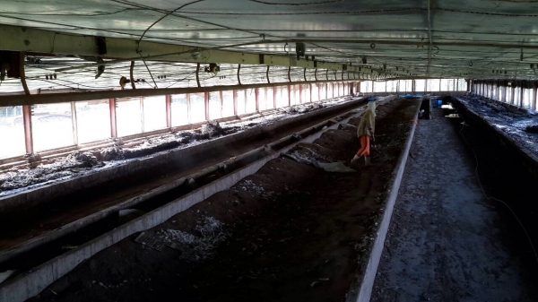 ขายโรงเรือนเลี้ยงไก่ 12x120 เมตร 14 หลัง เสาเหล็ก โครงเหล็ก