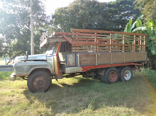 ขายถูกๆ235000บาทรถ10ล้อหัวยาวเครื่อง175