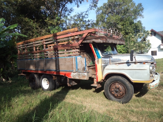 ขายถูกๆ235000บาทรถ10ล้อหัวยาวเครื่อง175