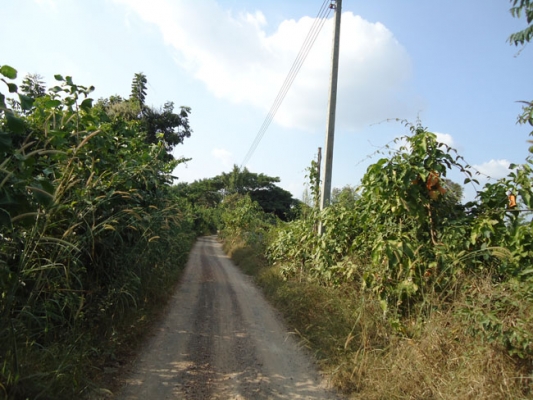 ขายดว่น ๆๆ ขายดว่น ๆๆ