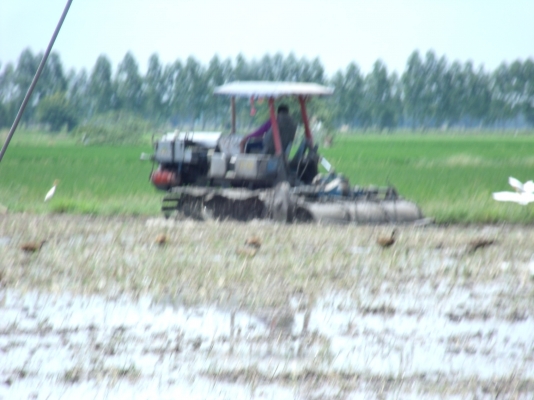 ขายคู่รถตีดินของวิชาญการช่างพร้อมเทรนเลอร์ล็อคกี้( ร้อนเงินจริงอยากขาย)