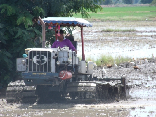 ขายคู่รถตีดินของวิชาญการช่างพร้อมเทรนเลอร์ล็อคกี้( ร้อนเงินจริงอยากขาย)