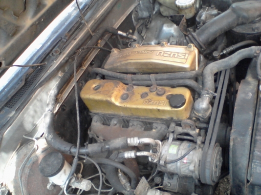 แยกขายอะหลัย อีสุหน้าหนู มีเอกสาร