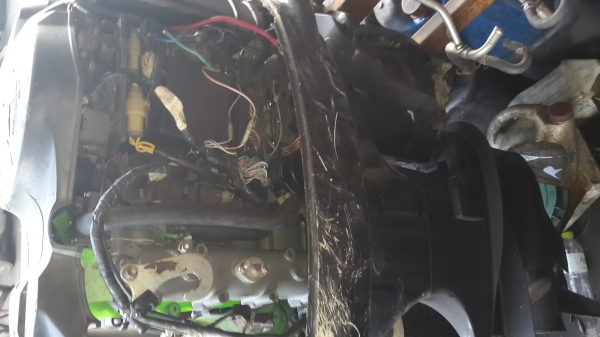 ขายเครื่องเรือ SUZUKI DF 60 70 80