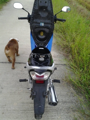 ขายHonda wave125R ต๊าดมือ ขายHonda wave125R ต๊าดมือ