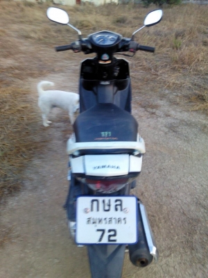 นูโวเอ็มเอ็กปี52