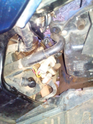 นูโวเอ็มเอ็กปี52