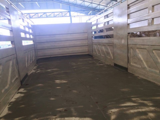 ขายพ่วงHINO MEGA ปี49 แม่ลูก กระบะ3มิตร ลูกปี54 เครื่อง220 สภาพสวยพร้อมใช้งาน เอกสารพร้อมโอน สนใจโทร 090-8588220คุณนะ ID:narong498 หรือ www.truck.in.th/498 หรือfb:ณรงค์ ซื้อขายรถมือสอง(เว็บไซต์ส่วนตัว)