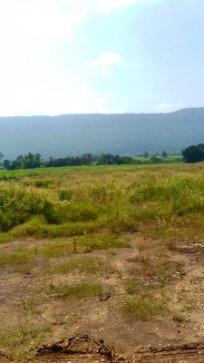 ขายที่ดินติดถนนใหญ่