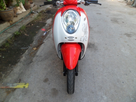 ลาย(ลิขสิทธิ์) แท้ผลิดน้อย