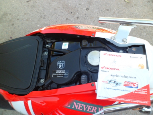 ลาย(ลิขสิทธิ์) แท้ผลิดน้อย