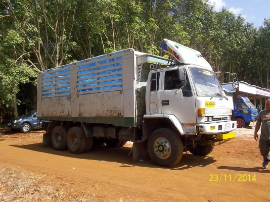 ขายดาวน์10ล้อ2เพลา คัชซีโบ้ เครื่อง 240โบว์อินเตอรื