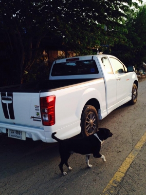 ขายดาวน์รถสวยใช้งานน้อย