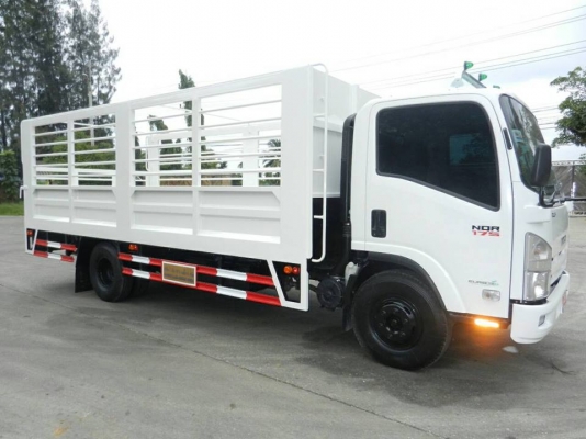 ISUZU NQR 6 ล้อกลาง