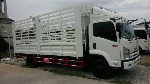 ISUZU FRR 6 ล้อกลาง