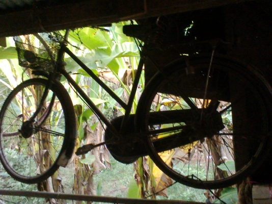 จักรยายเเฟรสสัน