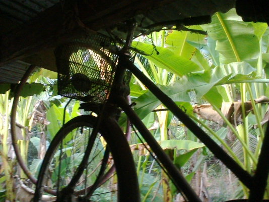 จักรยายเเฟรสสัน