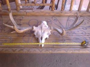 เขากวางนอก