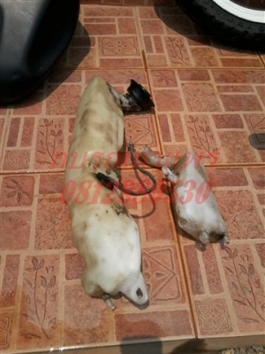 ขายอะไหล่ซูซูกิ RG Gramma ราคายังไม่รวมส่งค่าส่งคิดตามจริงสนใจติดต่อ (กบรถเก่าแพร่)