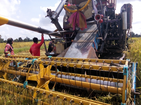 ขายด่วนรถเกี่ยวข้าวต่ออู่สวยพร้อมใช้