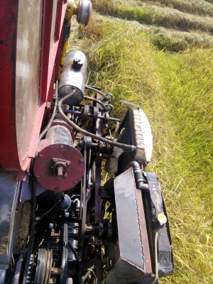 ขายด่วนรถเกี่ยวข้าวต่ออู่สวยพร้อมใช้