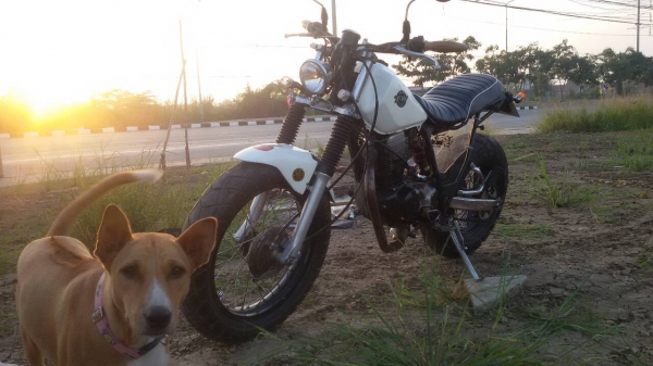 ขายมอเตอร์ไซค์ YAMAHA TW