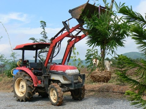 รถไถยันม่าร์ EF352 4WD 35 แรง + ชุดบุ้งกี๋ตักหน้า + หัวตัดหญ้า + PTO ปั๊มพ่นสารเคมี รถไถยันม่าร์ EF352 4WD 35 แรง + ชุดบุ้งกี๋ตักหน้า + หัวตัดหญ้า + PTO ปั๊มพ่นสารเคมี