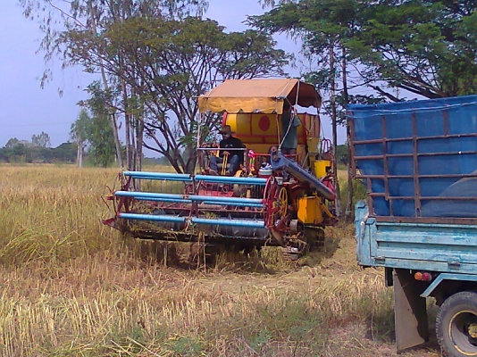 ขายด่วน!..รถเกี่ยวข้าวเกษตรพัฒนา เกี่ยวข้าวได้ไว ได้ข้าวเมล็ดสวย