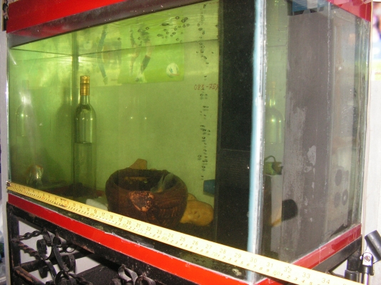 ตู้ปลา30นิ้ว(600บาทได้ ตู้/ฝา/ขาตู้/ น้ำ)(น้องที่อยู่เเปดริ้วรับไปดูเเลต่อเเล้วครับ) ตู้ปลา30นิ้ว(600บาทได้ ตู้/ฝา/ขาตู้/ น้ำ)(น้องที่อยู่เเปดริ้วรับไปดูเเลต่อเเล้วครับ)