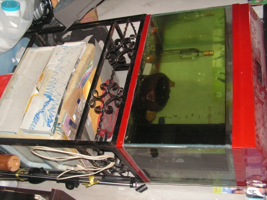 ตู้ปลา30นิ้ว(600บาทได้ ตู้/ฝา/ขาตู้/ น้ำ)(น้องที่อยู่เเปดริ้วรับไปดูเเลต่อเเล้วครับ) ตู้ปลา30นิ้ว(600บาทได้ ตู้/ฝา/ขาตู้/ น้ำ)(น้องที่อยู่เเปดริ้วรับไปดูเเลต่อเเล้วครับ)