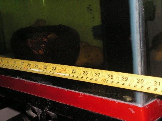 ตู้ปลา30นิ้ว(600บาทได้ ตู้/ฝา/ขาตู้/ น้ำ)(น้องที่อยู่เเปดริ้วรับไปดูเเลต่อเเล้วครับ) ตู้ปลา30นิ้ว(600บาทได้ ตู้/ฝา/ขาตู้/ น้ำ)(น้องที่อยู่เเปดริ้วรับไปดูเเลต่อเเล้วครับ)