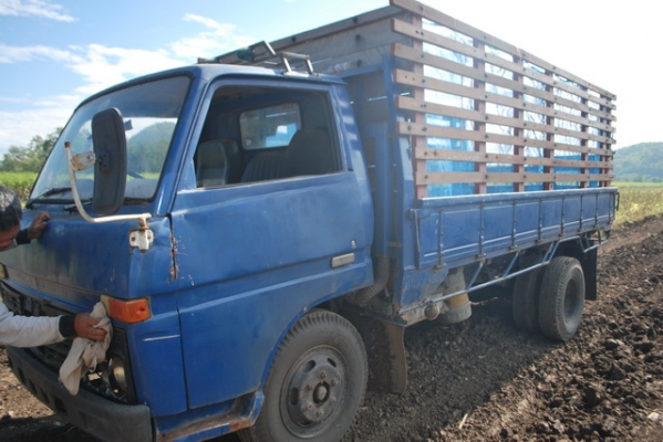 ขายรถ 6 ล้อ ด่วนจ้าเลิกกิจการ